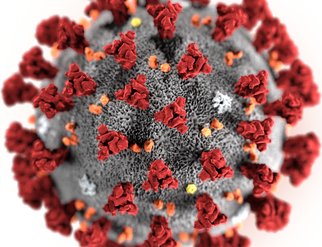 Content: Coronavirus bedingt Einstellung des Sportberiebs im RCS (599x600)