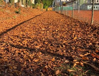 High-res: Laub weg – Im Team zusammen gegen das Herbstlaub!